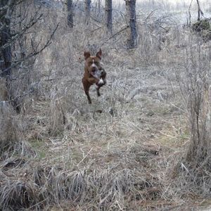 Meet your Posher, Kasey